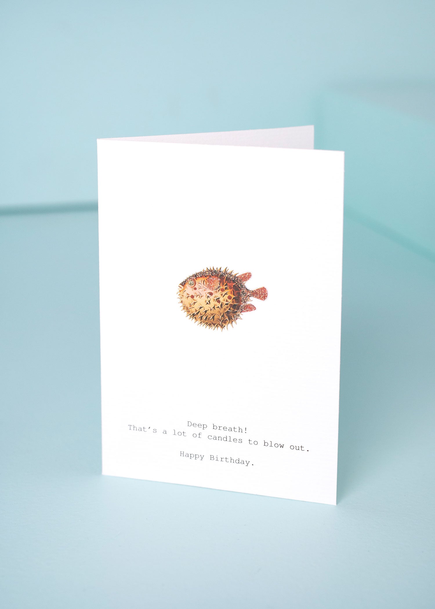 Shop All Stationery Cards